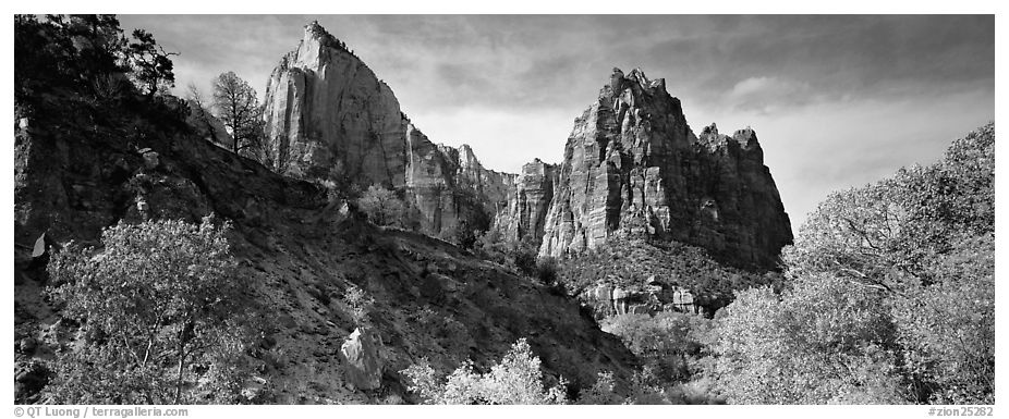 Zion Canyon scenery. Zion National Park (black and white)