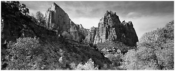 Zion Canyon scenery. Zion National Park (Panoramic black and white)