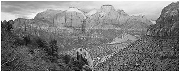 Towers of the Virgin View. Zion National Park (Panoramic black and white)