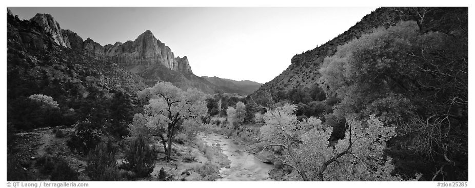 Virgin River, trees, and Watchman at sunset. Zion National Park (black and white)