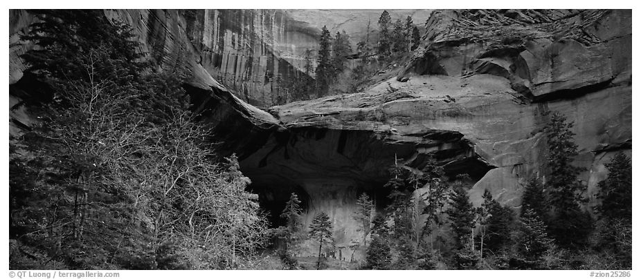 Double Arch Alcove, Kolob Canyons. Zion National Park (black and white)