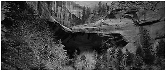 Double Arch Alcove, Kolob Canyons. Zion National Park (Panoramic black and white)