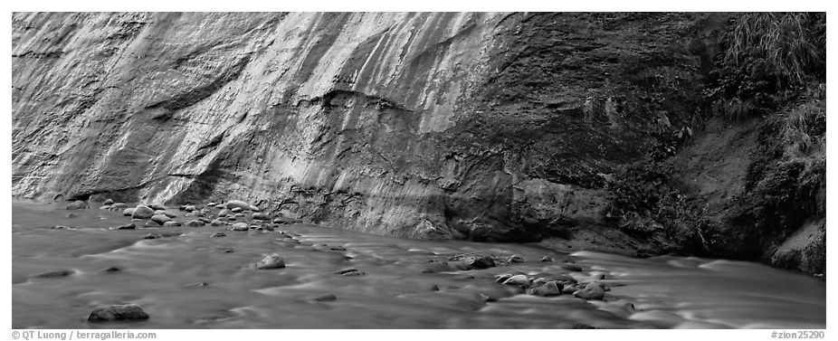 Wet gorge wall and Virgin River. Zion National Park (black and white)