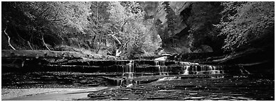 Autumn landscape with terraces flowing over creek. Zion National Park (Panoramic black and white)