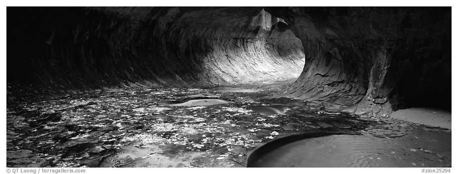 Tunnel-like opening and autumn leaves. Zion National Park (black and white)
