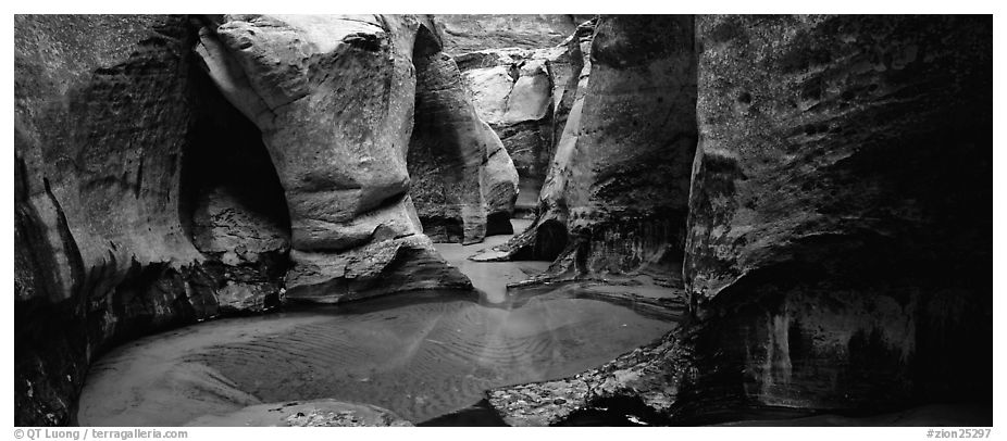 Sculptured walls of narrow gorge. Zion National Park (black and white)