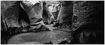 Sculptured walls of narrow gorge. Zion National Park (Panoramic black and white)