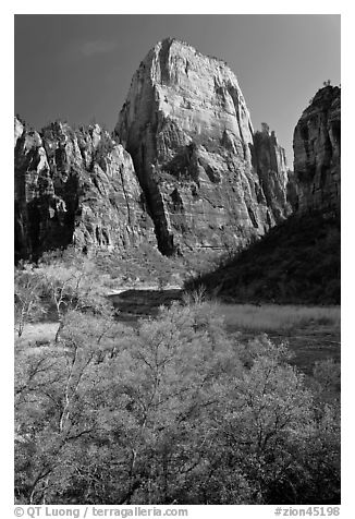Great White Throne. Zion National Park (black and white)