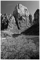 Great White Throne. Zion National Park ( black and white)