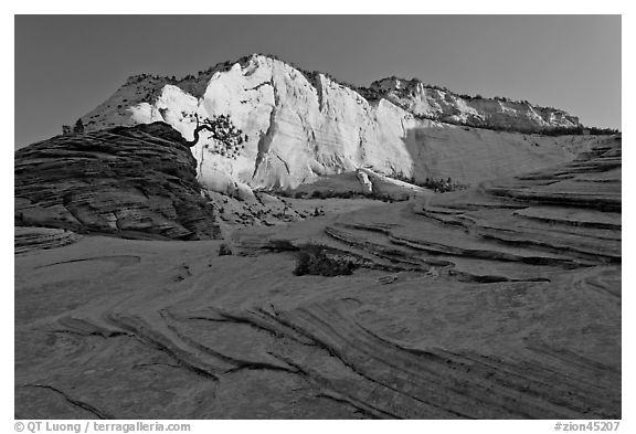 Swirls and cliffs at sunrise, Zion Plateau. Zion National Park (black and white)