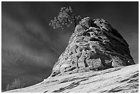 Twisted sandstone formation topped by tree. Zion National Park ( black and white)