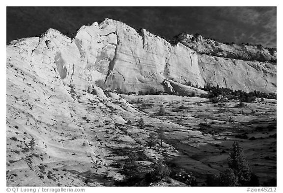 White and pink cliff, Zion Plateau. Zion National Park (black and white)