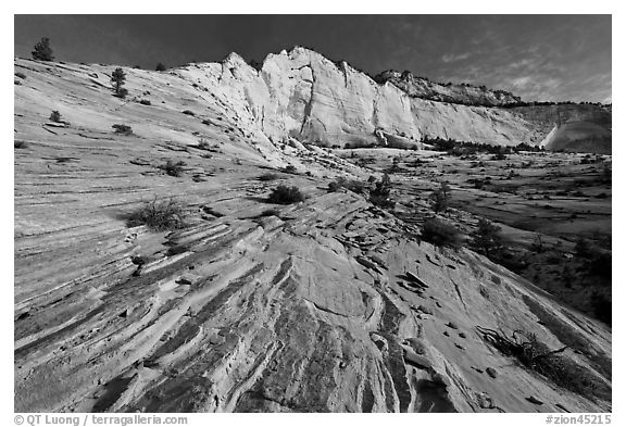 Pink sandstone swirls and white cliff. Zion National Park (black and white)