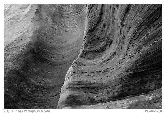Detail of rock wall eroded by water. Zion National Park (black and white)