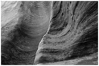Detail of rock wall eroded by water. Zion National Park ( black and white)