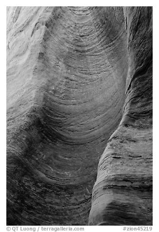 Detail of sandstone wall carved by flash floods. Zion National Park (black and white)