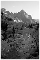 Virgin River and Watchman, sunset. Zion National Park, Utah, USA. (black and white)