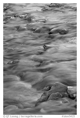 Water flowing over stones in Virgin River. Zion National Park (black and white)