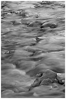 Water flowing over stones in Virgin River. Zion National Park ( black and white)