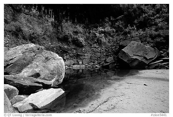 Sandstone boulders in Third Emerald Pool. Zion National Park (black and white)
