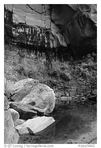 Boulders in  Third Emerald Pool. Zion National Park (black and white)