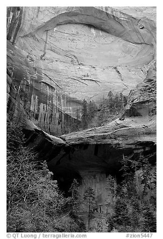 Double Arch Alcove, Middle Fork of Taylor Creek. Zion National Park (black and white)