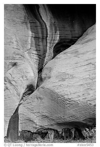 Rock sandstone wall, Double Arch Alcove, Middle Fork of Taylor Creek. Zion National Park (black and white)