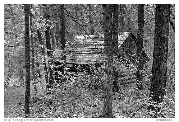 Abandoned historical log cabin, Middle Fork of Taylor Creek. Zion National Park (black and white)