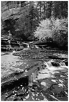 Cascades over terraces, Left Fork of the North Creek. Zion National Park, Utah, USA. (black and white)