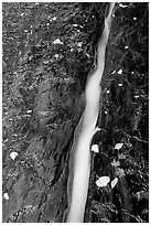 Six inch wide channel where water of Left Fork runs. Zion National Park ( black and white)
