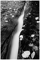 Six inch wide crack where  water of  Left Fork of the North Creek runs. Zion National Park, Utah, USA. (black and white)
