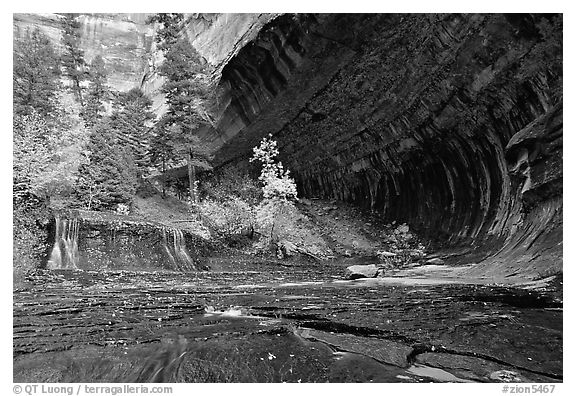 Cascade and alcove, Left Fork of the North Creek. Zion National Park (black and white)