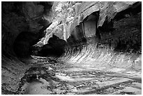 The Subway, a tunnel shaped like a round tube, Left Fork of the North Creek. Zion National Park, Utah, USA. (black and white)