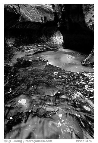 Water flowing in pools in the Subway, Left Fork of the North Creek. Zion National Park (black and white)