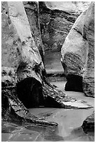 Pools and Rock walls sculptured by fast flowing water,  Subway, Left Fork of  the North Creek. Zion National Park, Utah, USA. (black and white)