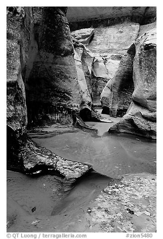 Pools and sculptured sandstone walls, the Subway, Left Fork of the North Creek. Zion National Park (black and white)