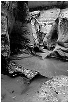 Pools and sculptured sandstone walls, the Subway, Left Fork of the North Creek. Zion National Park, Utah, USA. (black and white)
