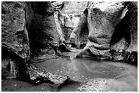 Pools and rock walls sculptured by fast flowing water, the Subway, Left Fork of the North Creek. Zion National Park, Utah, USA. (black and white)
