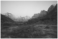 Towers of the Virgin from behind  Museum, dawn. Zion National Park, Utah, USA. (black and white)