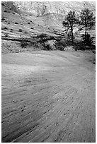 Sandstone striations, Zion Plateau. Zion National Park, Utah, USA. (black and white)