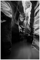 Flooded slot canyon. Zion National Park ( black and white)