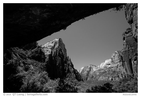 Canyon seen from Weeping Rock alcove. Zion National Park (black and white)