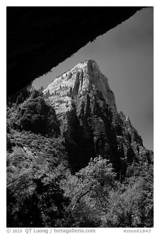 Peak from Weeping Rock alcove. Zion National Park (black and white)