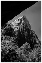 Peak from Weeping Rock alcove. Zion National Park ( black and white)