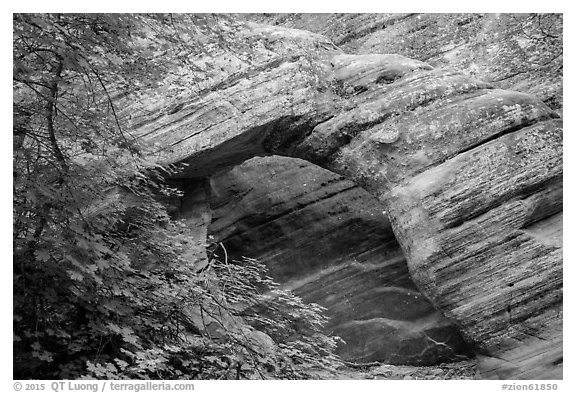 Arch, Hidden Canyon. Zion National Park (black and white)