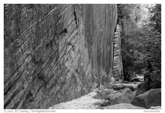 Tall steep cliff, Hidden Canyon. Zion National Park (black and white)