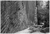 Tall steep cliff, Hidden Canyon. Zion National Park ( black and white)