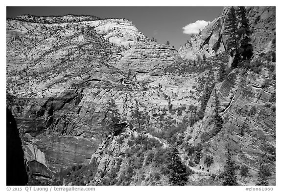 Distant hikers on Hidden Canyon trail. Zion National Park (black and white)
