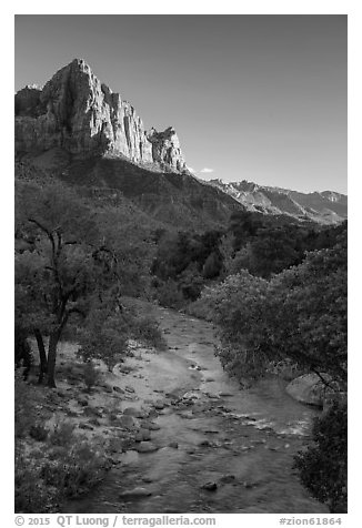 Virgin River and Watchman in summer. Zion National Park (black and white)