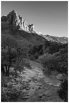 Virgin River and Watchman in summer. Zion National Park ( black and white)